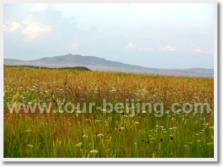 7 Beijing Day Inner Mongolia Kublai Khan and Grassland Exloration Tour
